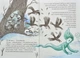 Мортіна та примарний друг - Барбара Кантіні (9789664296134) - изображение 5