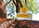 Woda perfumowana unisex Vilhelm Parfumerie Morning Chess 100 ml (3760298541148) - obraz 3