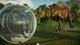 Дополнение Jurassic World Evolution 2: Camp Cretaceous Dinosaur Pack для ПК (Ключ активации Steam) - изображение 2
