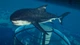 Дополнение Jurassic World Evolution 2: Park Managers’ Collection Pack для ПК (Ключ активации Steam) - изображение 3