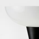 Напольная лампа TAGARP IKEA 404.863.87 - изображение 4