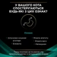 Корм сухой Purina Pro Plan Veterinary Diets EN Gastrointestinal для кошек при расстройствах пищеварения с курицей 400 г (7613035154537) - изображение 3