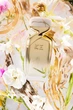 Парфюмированная вода унисекс K-3 by Kenzo Takada 64 Gardenia 100 мл (810023676317) - изображение 4