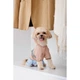 Одяг Pet Fashion Tina Дощовик для собак-дівчаток, бежевий/блакитний XS2 (1111180557) - зображення 5