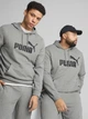 Худи мужское Puma Ess No. 1 Logo Hoodie Tr 68257203 L Medium Gray Heather (4067983595813) - изображение 1