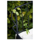 2-местный диван LACKO IKEA 505.227.33 - изображение 4