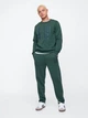 Спортивний чоловічий костюм GAP на флісі L зелений - зображення 1