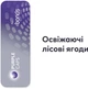 Блок стиков для нагрева табака BLENDS Purple Caps 10 пачек TBEH (7622100540663_n) - изображение 2