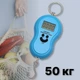 Электронные весы бытовые до 50 кг кантер для измерения в кг унциях фунтах с функцией тары, Голубые - изображение 1