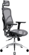 Fotel biurowy ergonomiczny Diablo Chairs V-Basic Black-Grey (5902560337259) - obraz 1