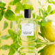 Парфумована вода унісекс L'Atelier Parfum Opus 3 Green Crush 100 мл (3760383780117) - зображення 3