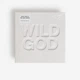 Компакт диск Universal Music Nick Cave & The Bad Seeds Wild God CD 5400863157913 - изображение 2
