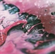 LINKIN PARK – From Zero (CD, U.S.A.) - изображение 1