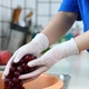 Нитриловые белые перчатки без латекса для кухни и дома Profissimo Einmal-Handschuhe weiss DM Klein S, 60шт=30 пар - изображение 2