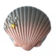 Попсокет для телефона Marine Life Shell - зображення 1