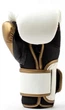 Боксерские перчатки Everlast POWERLOCK 2R TRAINING GLOVE белый, золотой Уни 12 унций P00003049 - изображение 2