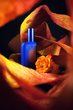 Парфумована вода унісекс Histoires de Parfums This Is Not A Blue Bottle 1.6 60 мл (841317002826) - зображення 4