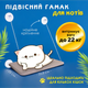 Гамак для котов на окно подвесной лежанка для кошек на присосках (kt-0048) - изображение 1
