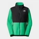 Толстовка на молнии без капюшона женская The North Face NF0A7UR6PO81 M Зеленая (196575588903) - изображение 5