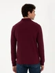 Поло длинное мужское Pierre Cardin G021SZ082-000-2015113(bordo) M Бордовое (8683857640708) - изображение 2