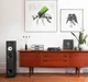 Акустика Triangle Borea BR07 Black - зображення 6