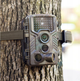 Фотопастка CAMELEON FHD 50Mpx - зображення 7