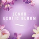 Спрей для удаления неприятных запахов и выравнивания формы одежды Lenor Love Exotic Bloom 2in1 Crease Releaser Faltenglatt & Textilerfrischer 500 мл - изображение 10