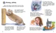 Энциклопедия дошкольника: Коты Утро С614039У - изображение 3