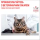 Влажный корм Royal Canin Neutered Maintenance диетический для взрослых стерилизованных котов 85г КОМПЛЕКТ 12 шт - изображение 2