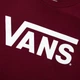 Футболка Vans Classic Red VN000GGGZ28 S - изображение 5