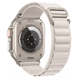 Ремешок для Apple Watch 49 / 46 / 45 / 44 mm Alpine Loop starlight - изображение 1
