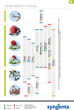 Упаковка биостимуляторов Syngenta Изабион 100 мл x 2 шт. (4820041010747) - изображение 3