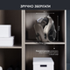 Пилосос без мішка Rowenta Compact Power Cyclonic RO3786EA 3AAA Ecomotor - зображення 3