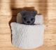 М'яка плюшева іграшка handmade Котик 10,5 см з 3-ма комплектами одягу, люлькою, матрацем, подушкою і ковдрою амігурумі в'язаний гачком - зображення 5