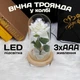 Вечная роза в колбе большая декоративная 21 см с диодной LED подсветкой Роза под стеклянным куполом Белая - изображение 1