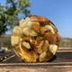 Мед акації з горіхами асорті 0,1 л (140 грам) - зображення 3