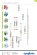 Комплект инсекто-акарицидов Syngenta Вертимек 018 ЕС 10 мл x 2 шт. (4820041010518) - изображение 6