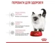 Корм для котят ROYAL CANIN KITTEN 8 кг + 2 кг - изображение 3