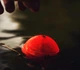 Ехолот-картплотер Deeper Smart Sonar CHIRP+ 2.0 Limited Edition Arctic Grey - изображение 5