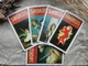 Карты таро the pulp tarot обучающая колода для начинающих с инструкцией на английском языке (101133) - изображение 4