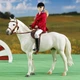 Наїзниця для коня traditional Breyer 525 - изображение 3