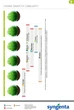 Протравитель Syngenta Селест Топ 20 мл комплект 2 шт (4820041010433) - изображение 5