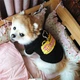 Свитшот для собак Pet Style "Когда обед?" Черный S - изображение 6
