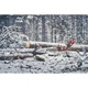 Ланцюг пильний Husqvarna X-CUT S35G 15" 0.325" 1.5мм 64DL (5856395-64) - зображення 5