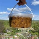 Витаминная Паста Амосова 0,5 л (600 грам) - изображение 1