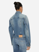 Kurtka jeansowa damska Tommy Jeans DW0DW19858-1AB L Niebieska (8720638505686) - obraz 2