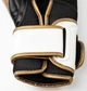Боксерские перчатки Everlast POWERLOCK 2R TRAINING GLOVE белый, золотой Уни 10 унций (P00003048) - изображение 4