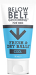 Гель дезодорант для інтимної гігієни для чоловіків Below the Belt Grooming Fresh & Dry Balls Cool Mint - изображение 1