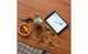 Конструктор Lego Icons Botanicals Хризантема, 278 деталей 10368 - изображение 2