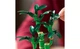 Конструктор LEGO Бамбук щастя 325 деталей (10344) - изображение 5